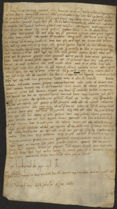 208 C.25.CCVIIIr, Investitura fatta da Eriberto vescovo a favore di Raimbaldo da Corticella, [Modena], 1078, feb. 16